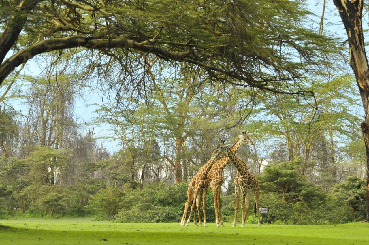 Lake Naivasha Sopa Resort Экстерьер фото