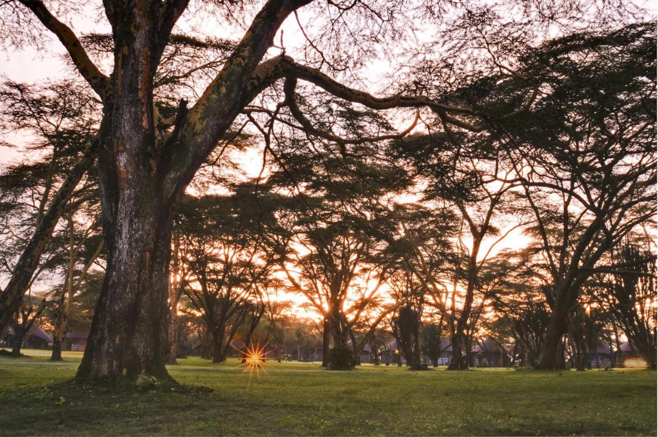 Lake Naivasha Sopa Resort Экстерьер фото